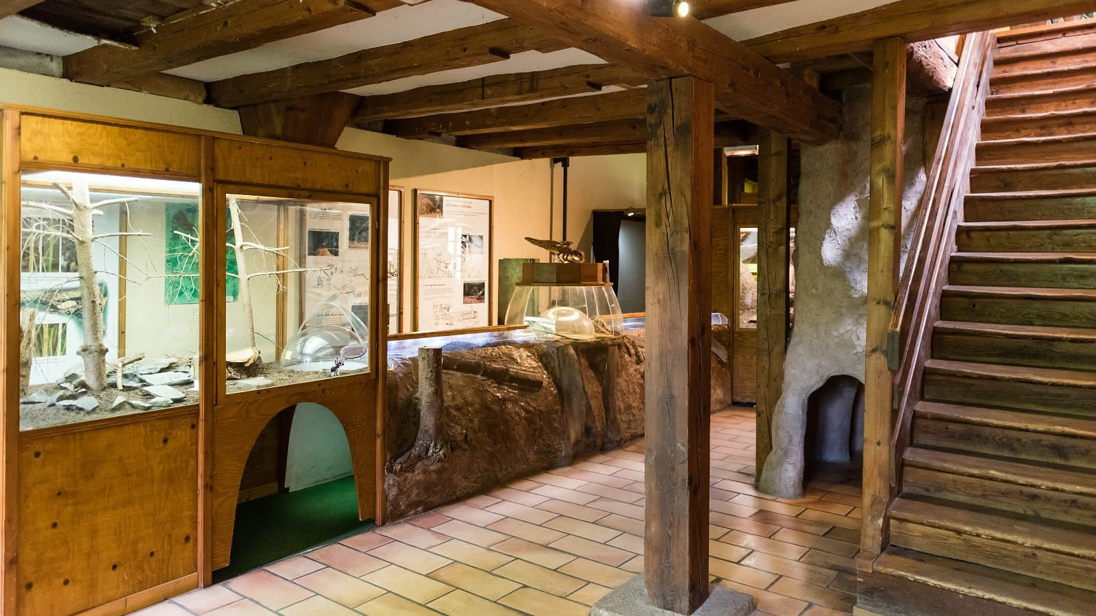 Vivarium du moulin