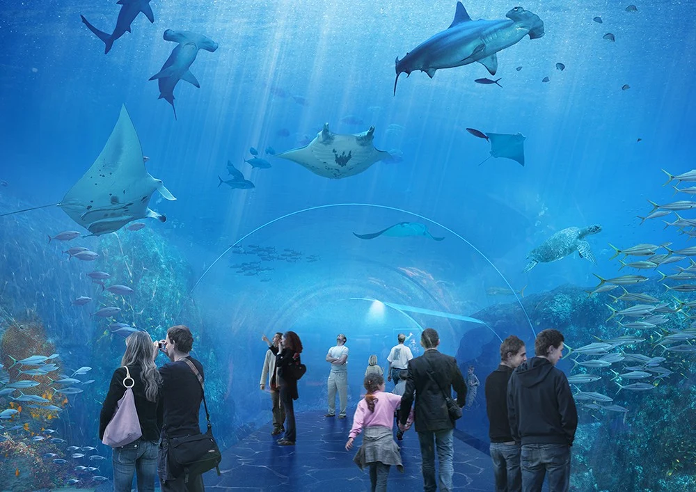 Aquarium Nausicaá