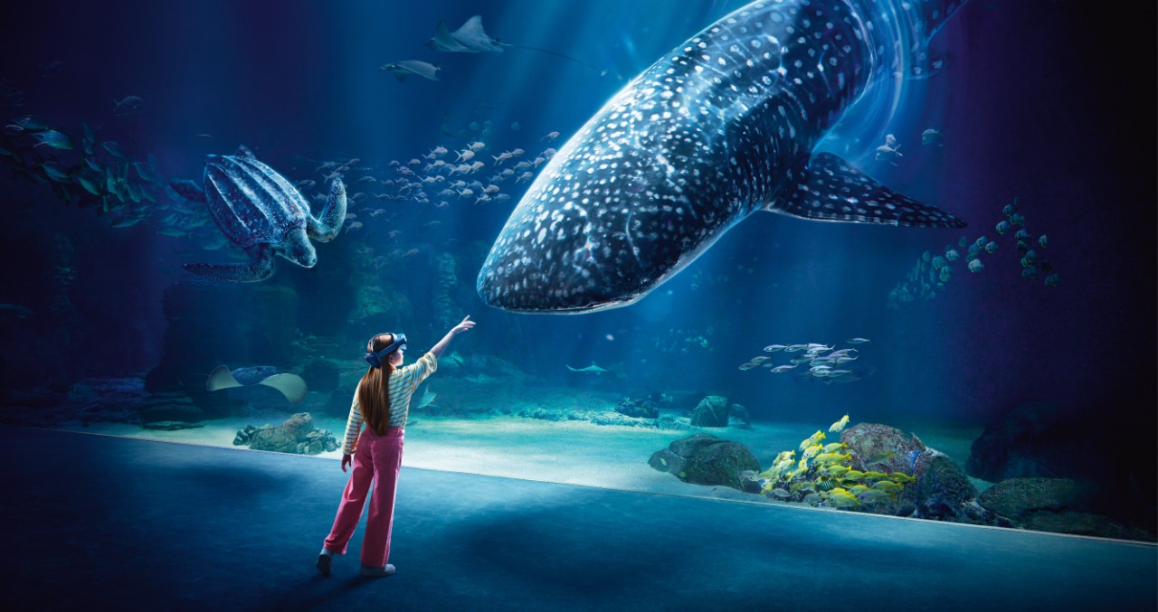 Aquarium Nausicaá