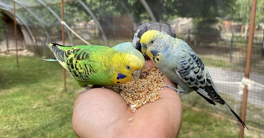 Parc animalier de Lussas