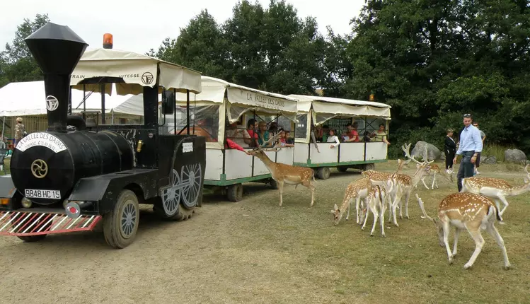 La vallée des daims