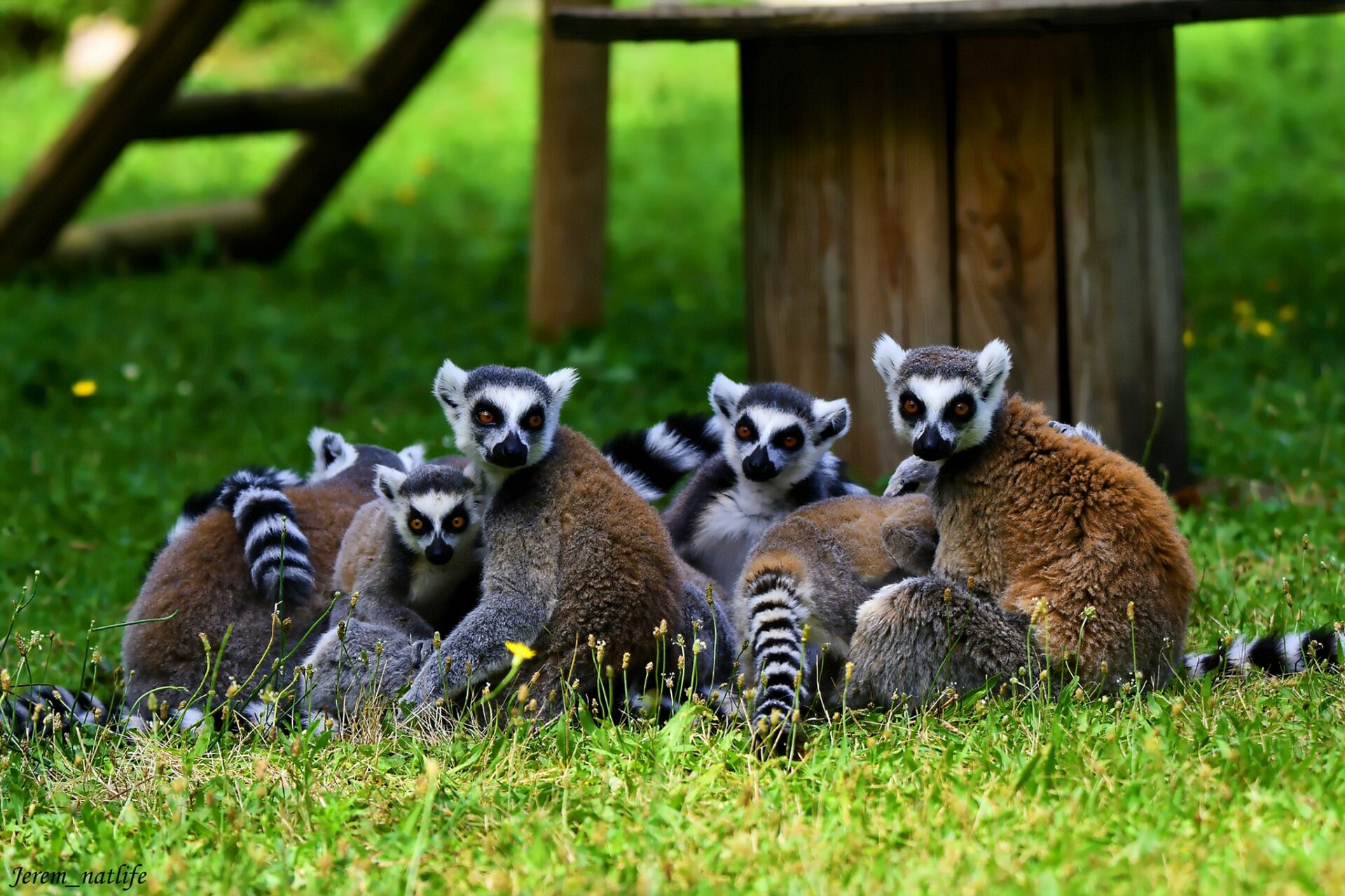 Zoo d'Upie