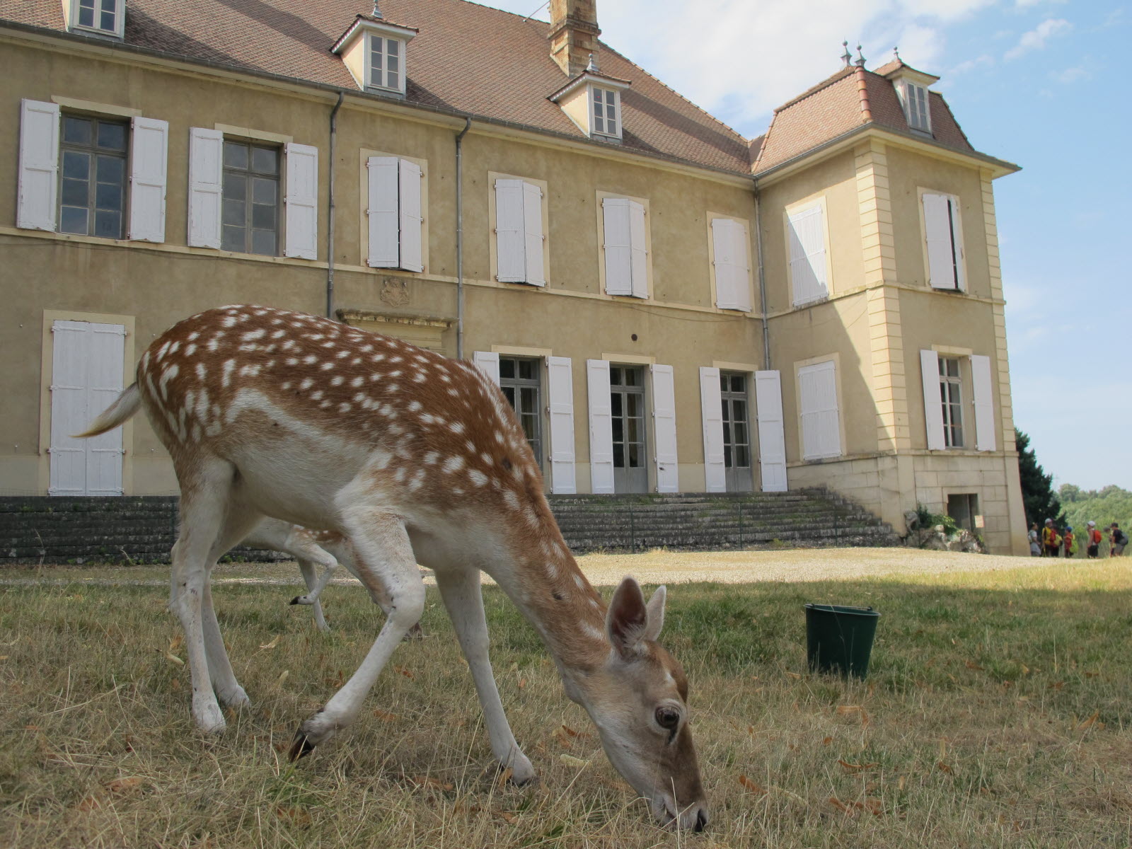 Parc animalier du château de Moidière