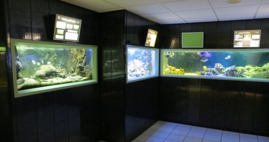 Aquarium de Saint-Chamond