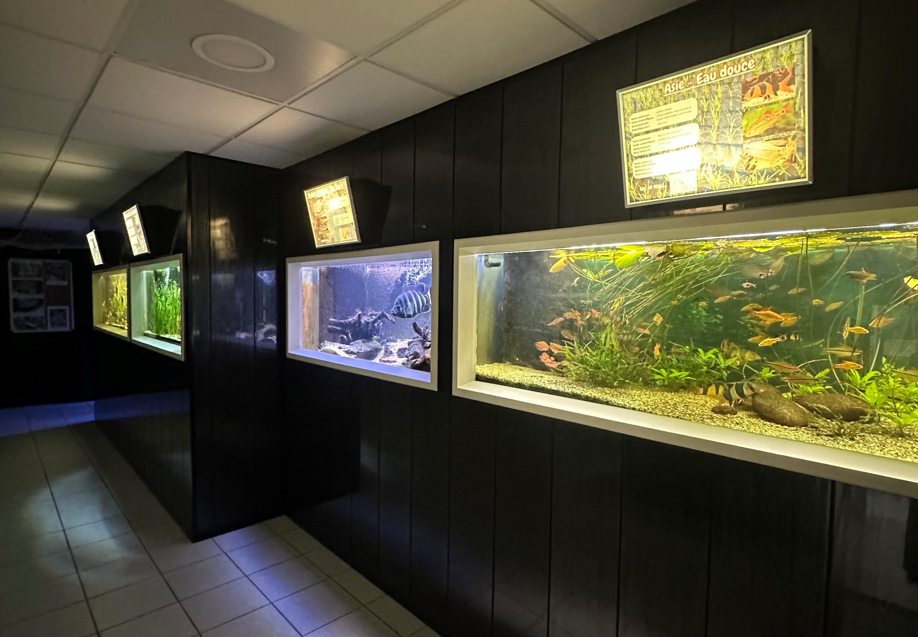 Aquarium de Saint-Chamond