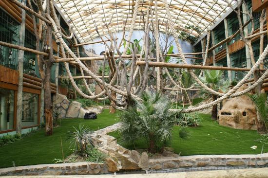 Espace zoologique de Saint-Martin-la-Plaine