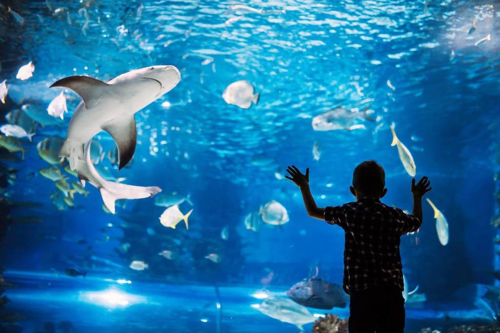 Aquarium de Lyon