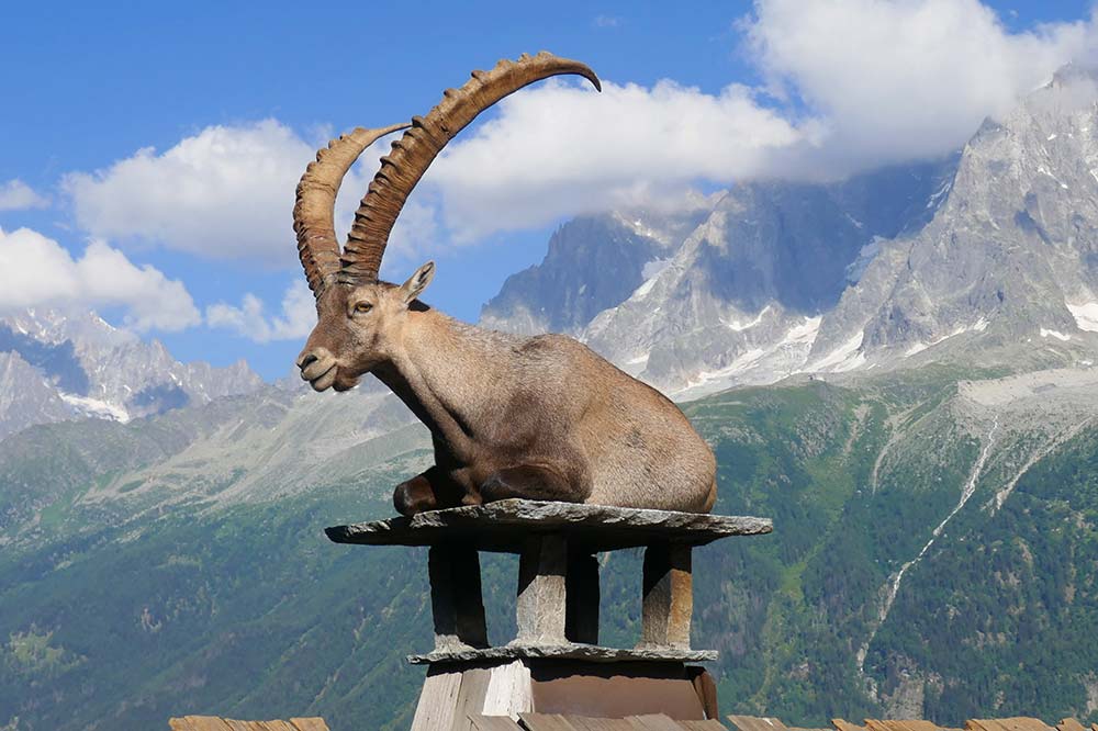 Parc animalier de Merlet