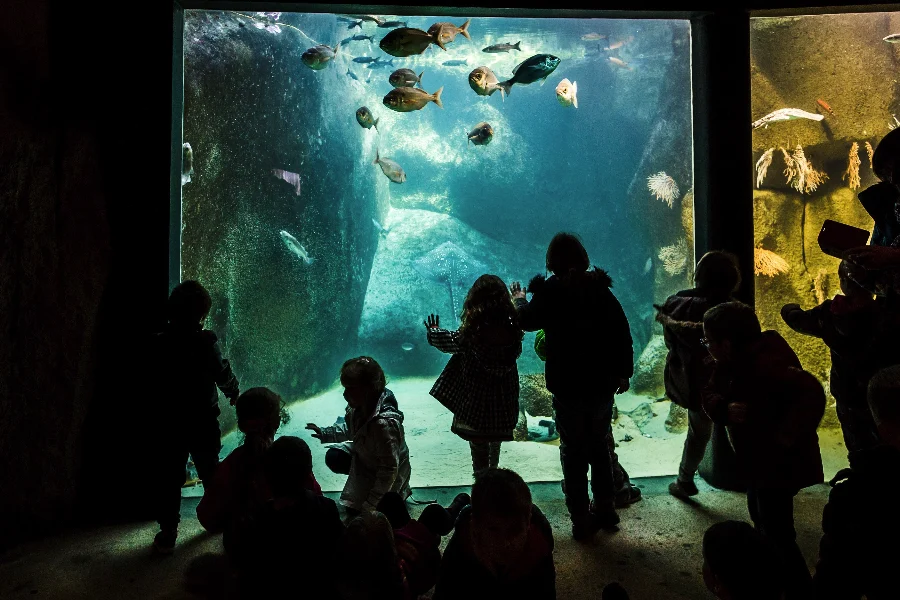 Aquarium marin de Trégastel