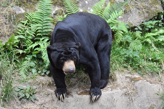Zooparc de Trégomeur