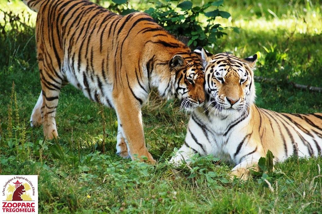 Zooparc de Trégomeur