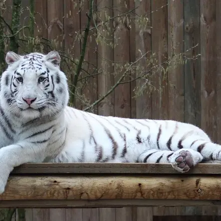 Zooparc de Trégomeur