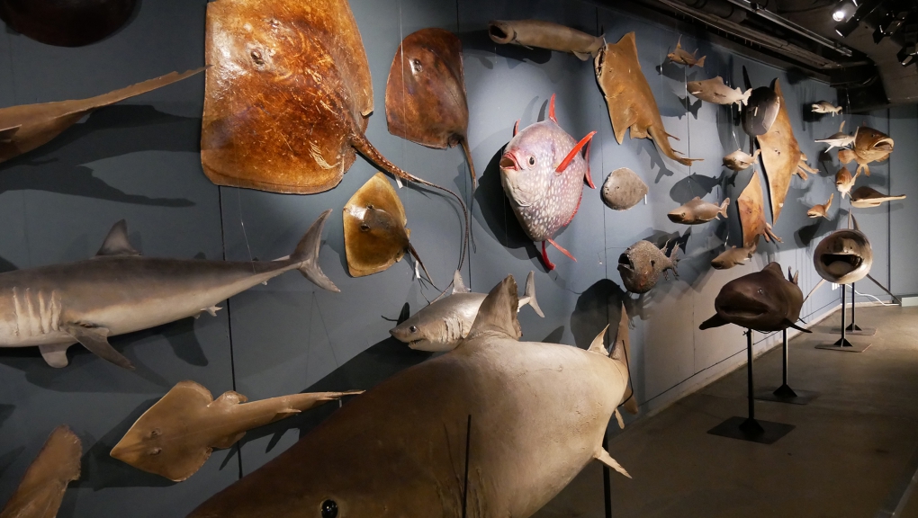 Station de biologie marine de Concarneau