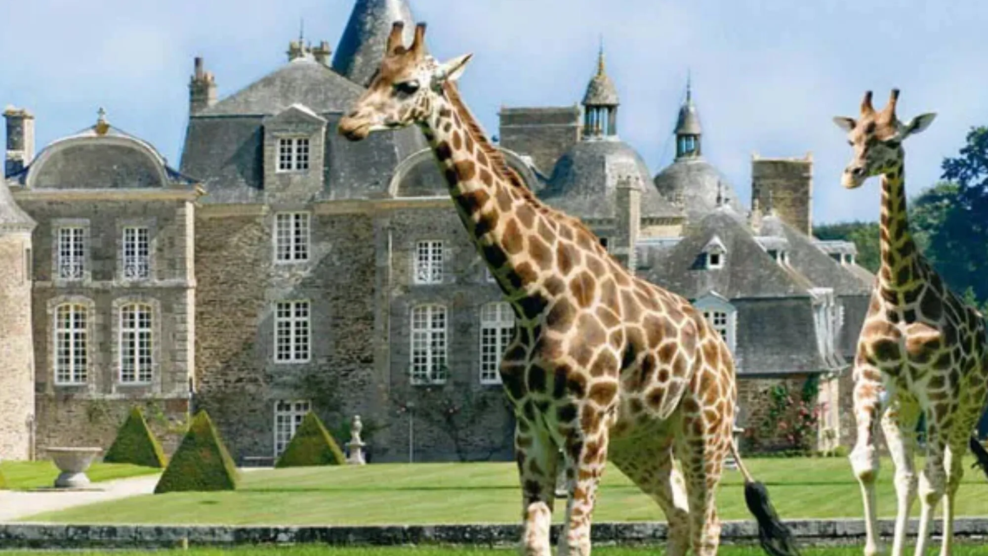 Zoo de la Bourbansais