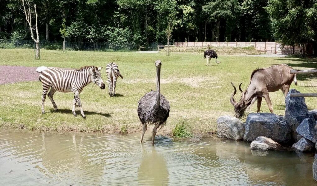 Zoo de la Bourbansais