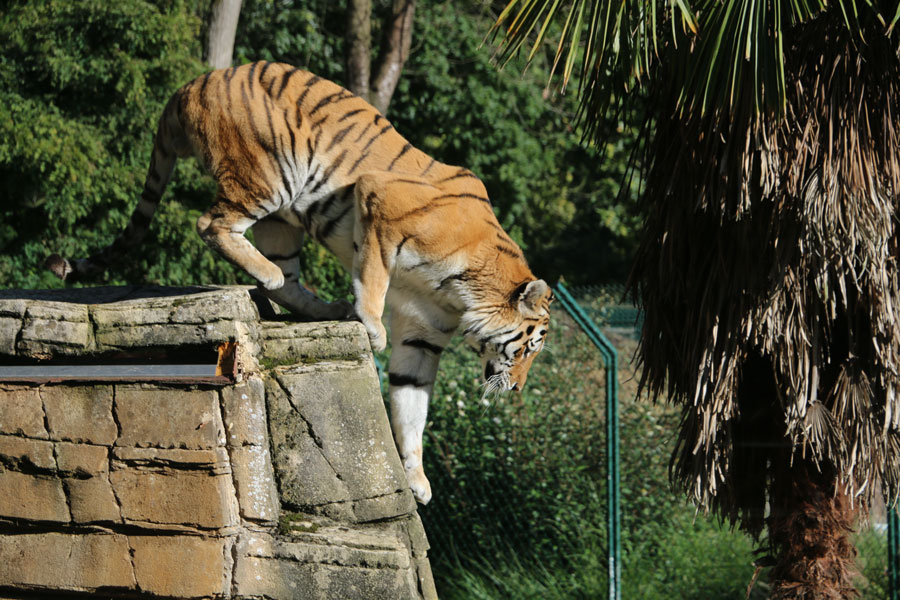 Zoo de la Bourbansais