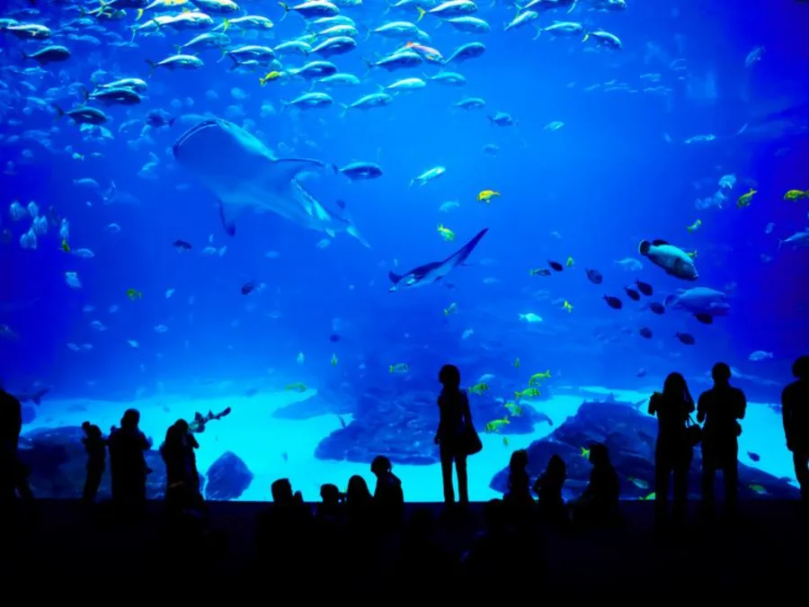 Grand aquarium Saint-Malo