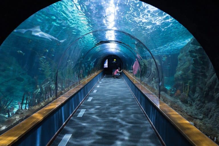 Grand aquarium Saint-Malo