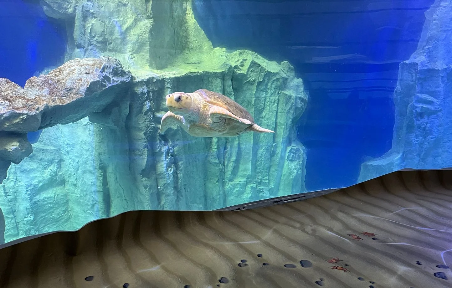 Grand aquarium Saint-Malo