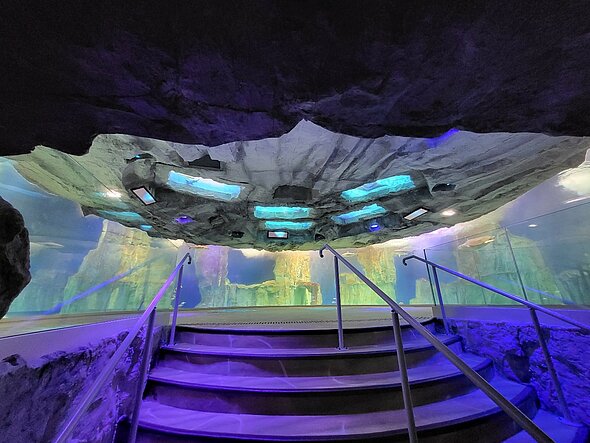Grand aquarium Saint-Malo