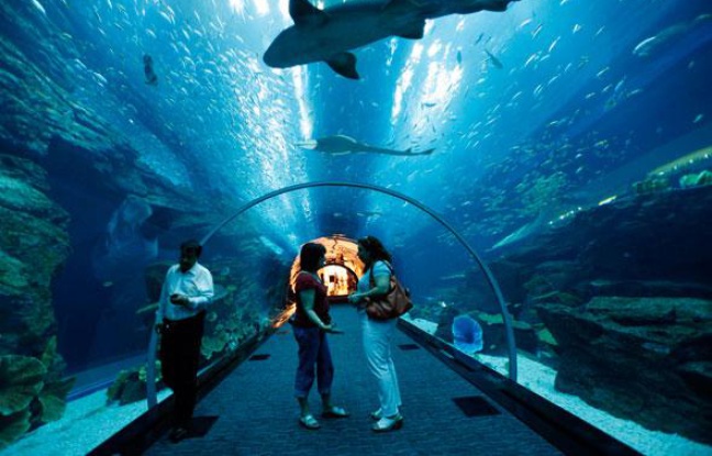 Grand aquarium Saint-Malo