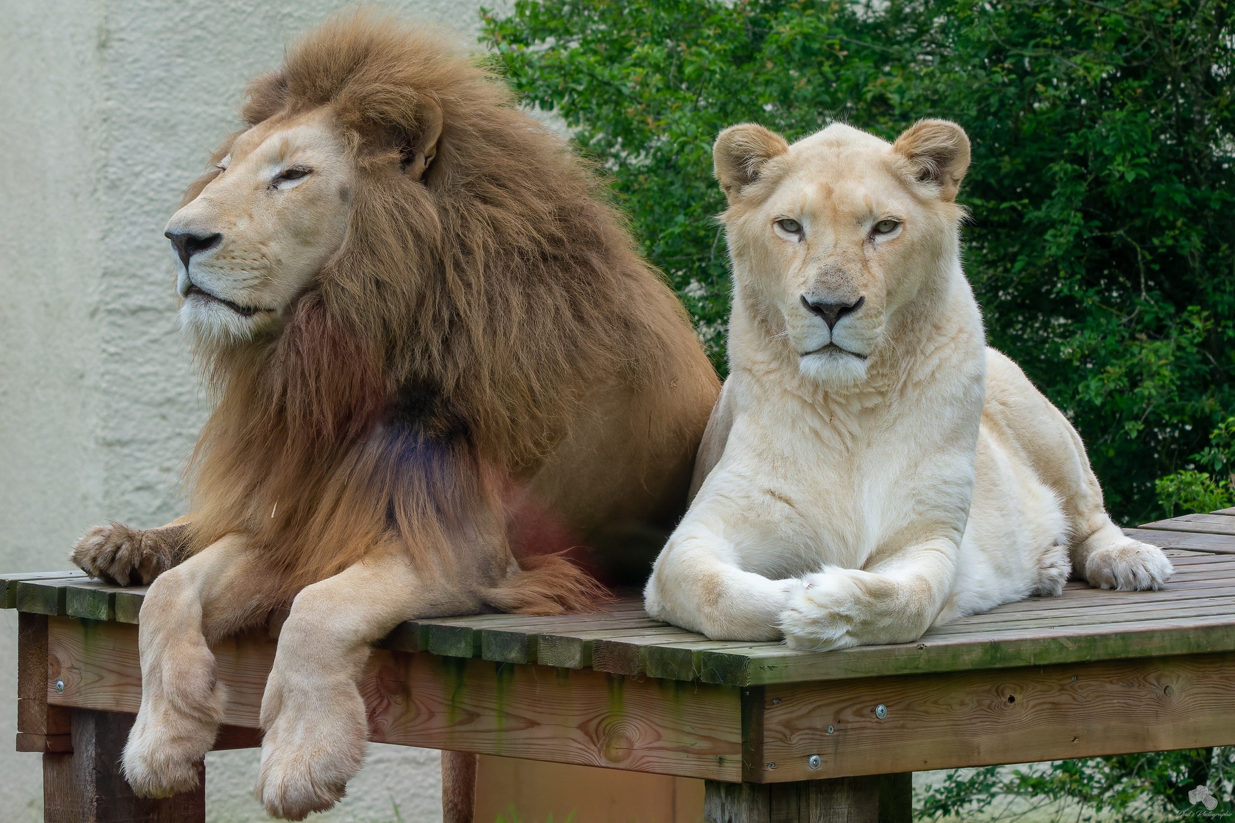Les terres de Nataé