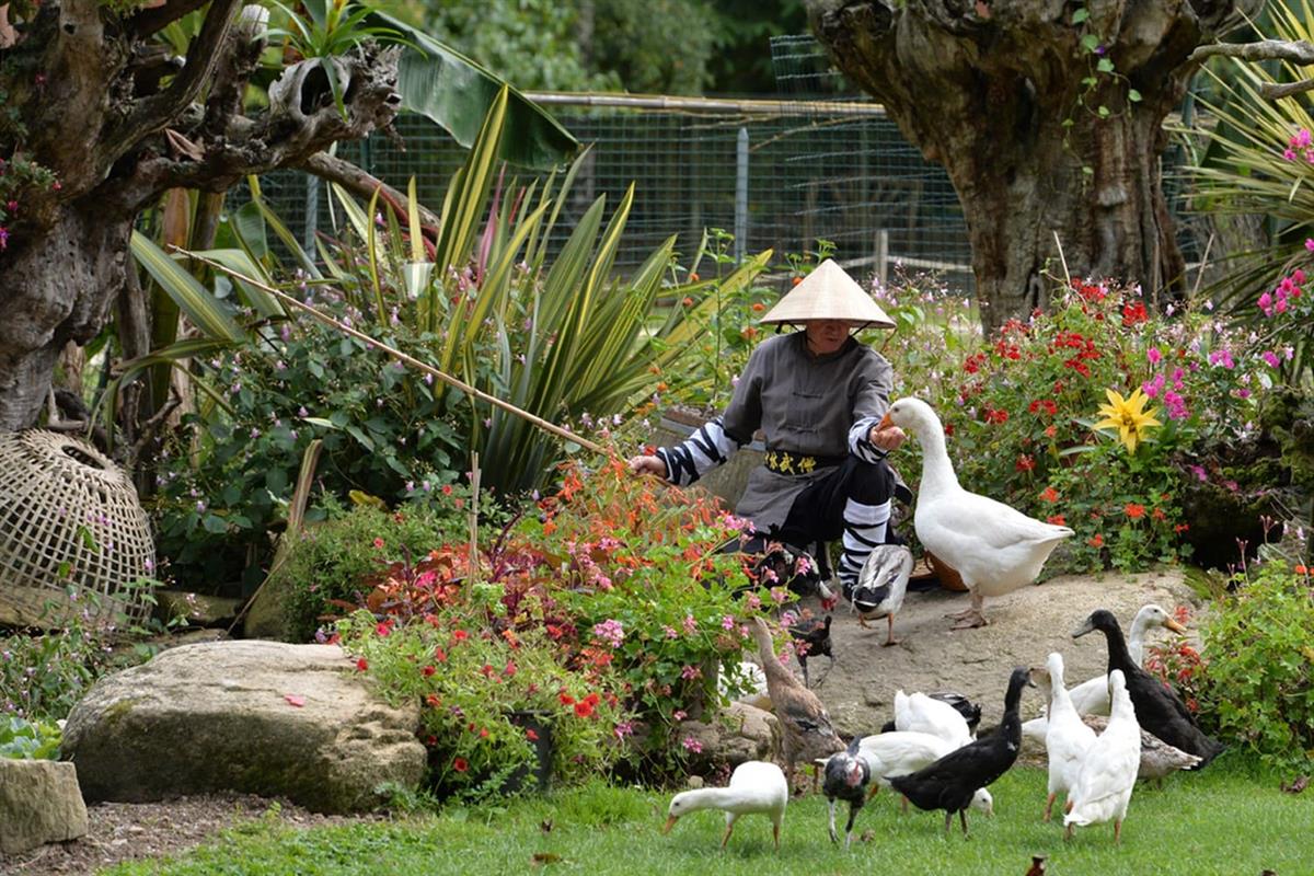 Tropical Parc