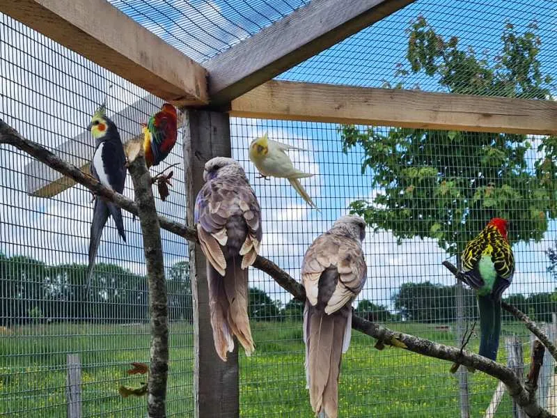 Parc Animalier Domaine de Revert