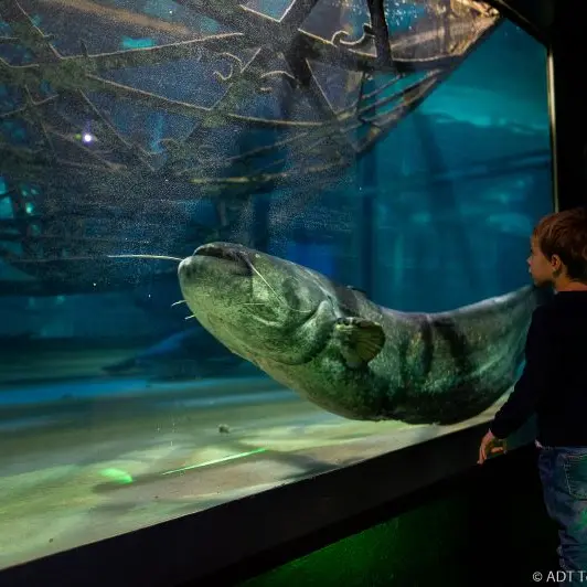 Grand aquarium de Touraine