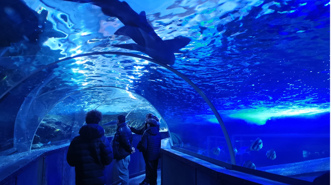 Grand aquarium de Touraine