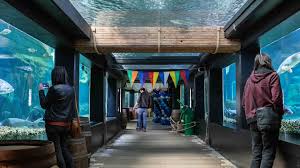 Grand aquarium de Touraine