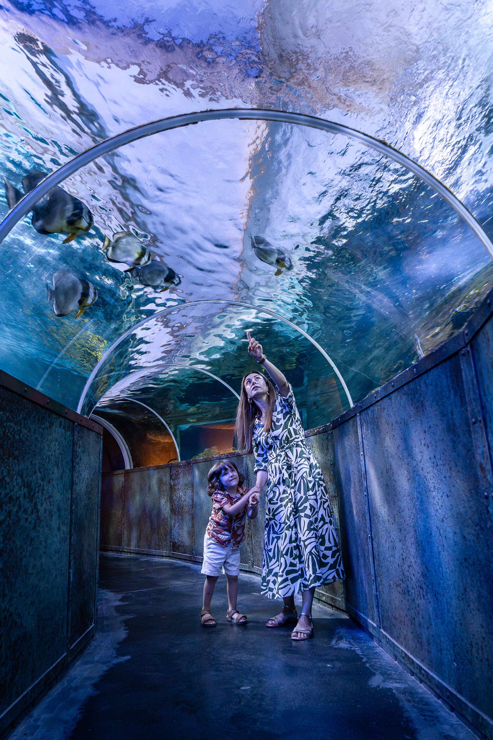 Grand aquarium de Touraine