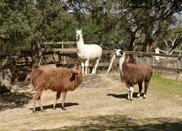 Parc naturel d'Olva