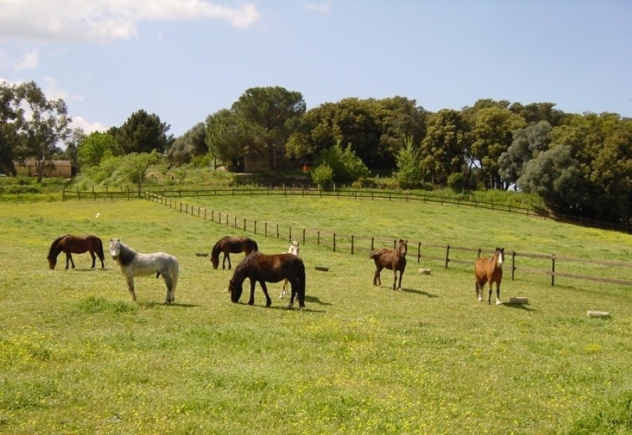Parc naturel d'Olva