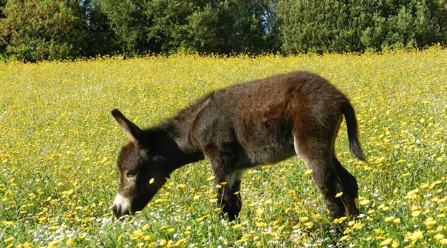 Parc naturel d'Olva