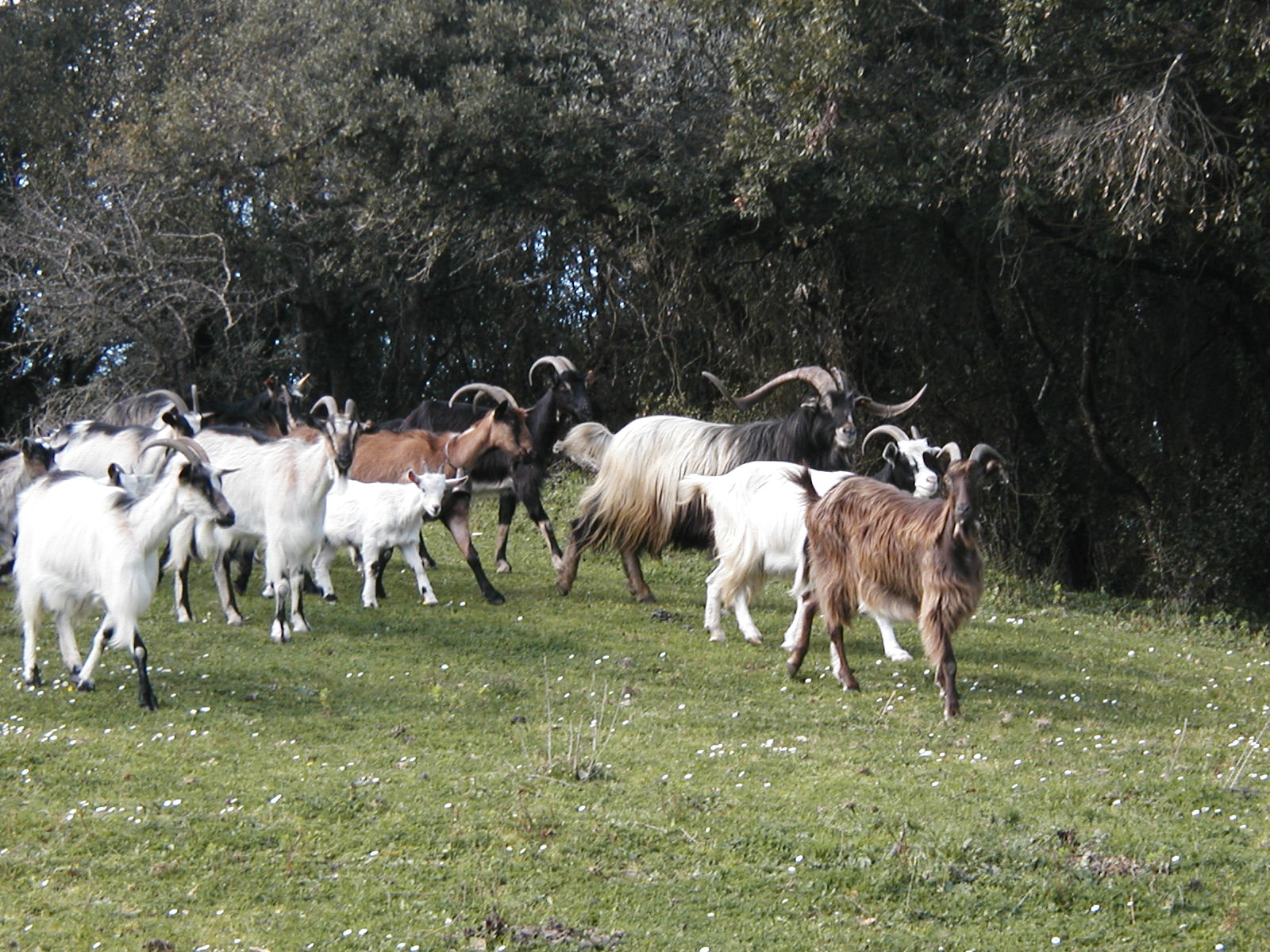 Parc naturel d'Olva