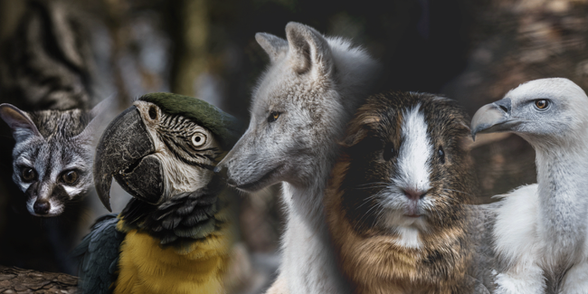 Parc Argonne découverte