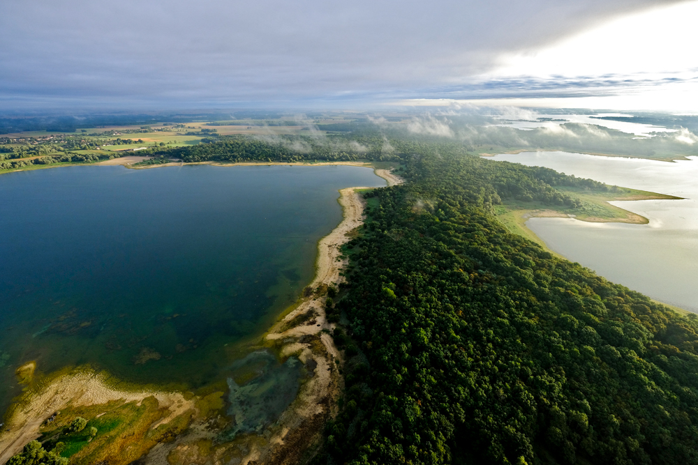Parc naturel régional de la Forêt d'Orient