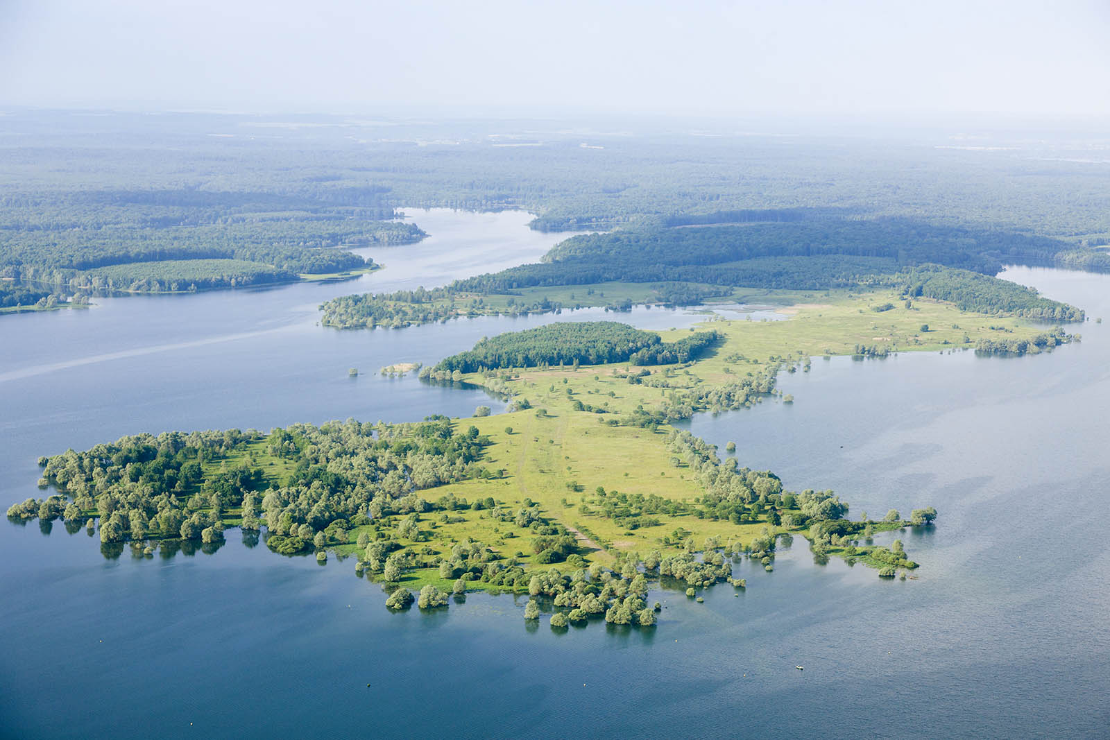 Parc naturel régional de la Forêt d'Orient