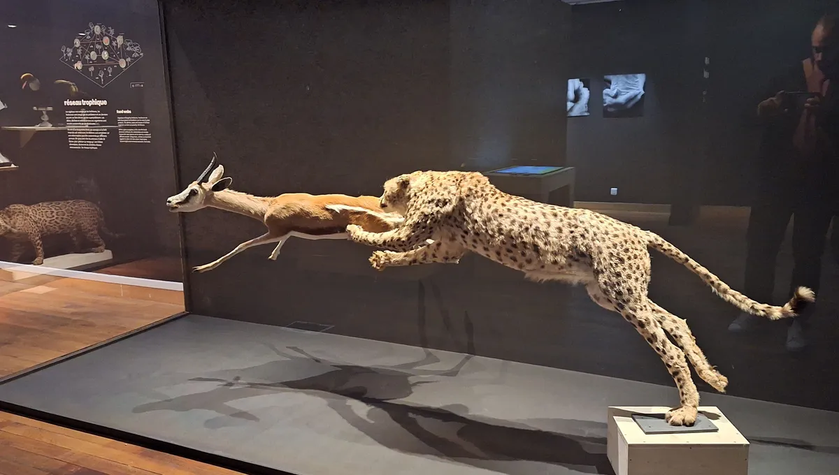 Muséum-aquarium de Nancy