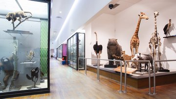 Muséum-aquarium de Nancy
