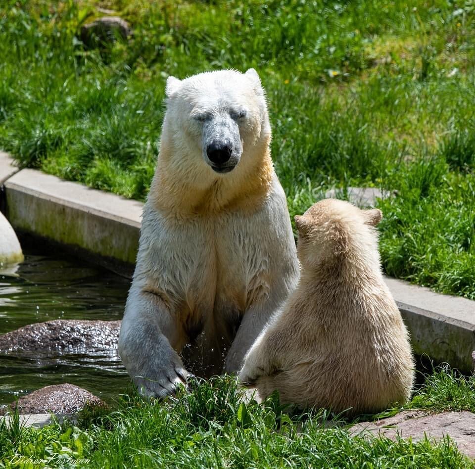 Parc zoologique et botanique de Mulhouse