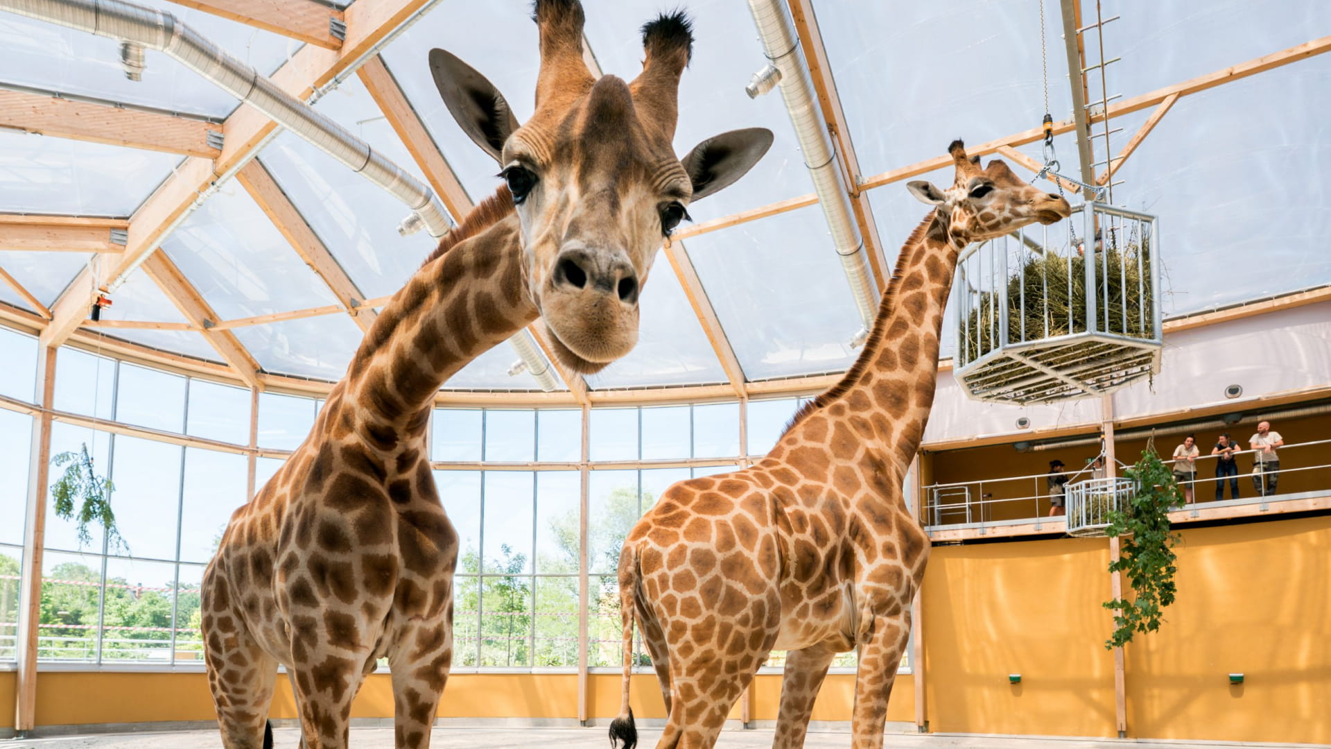 Parc zoologique et botanique de Mulhouse