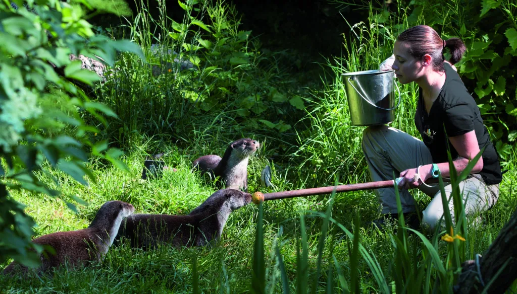 Naturoparc