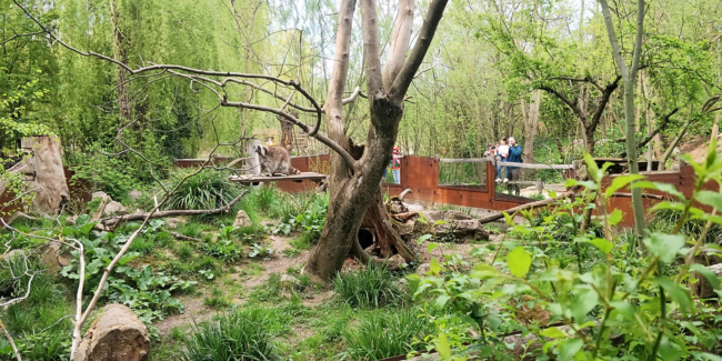 Naturoparc