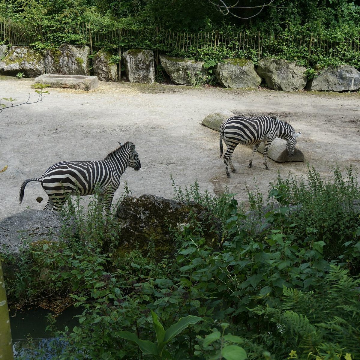 Parc zoologique de Lille