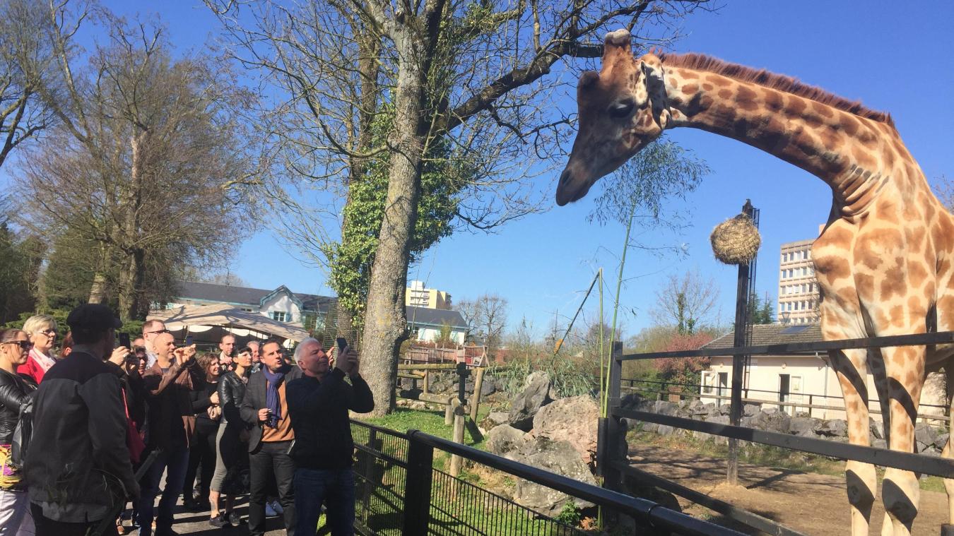 Parc zoologique de Lille