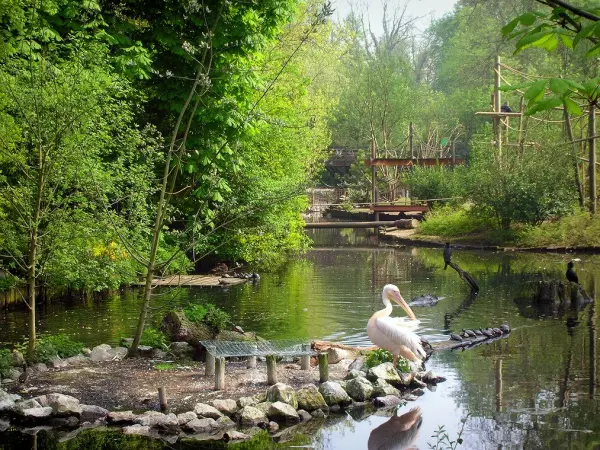 Parc zoologique de Lille