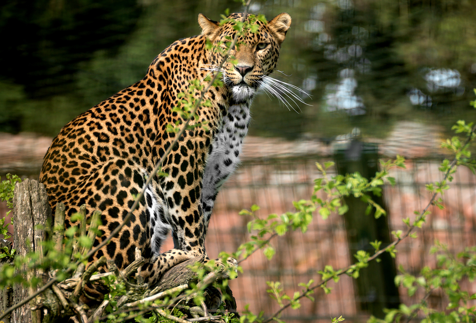 Zoo de Maubeuge