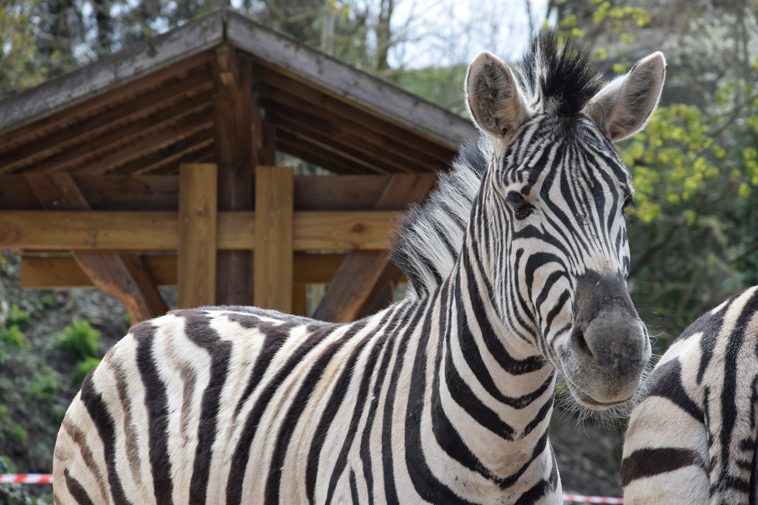 Zoo de Maubeuge
